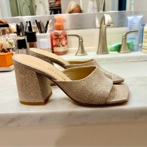 Stuart Weitzman Shimmering Silver Block Heel Mules